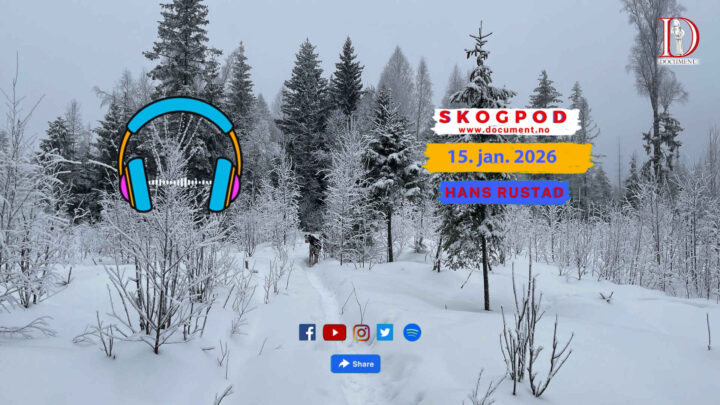 Skogpod 15. januar 2026