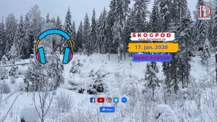 Skogpod 17. januar 2026