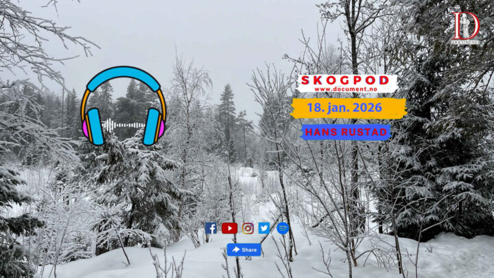 Skogpod 18. januar 2026