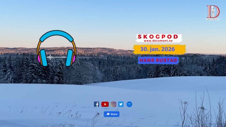 Skogpod 30. januar 2026
