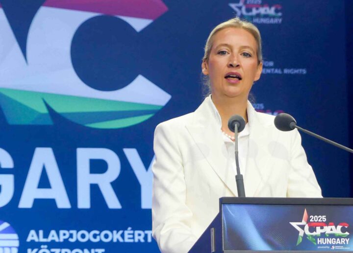 AfDs leder Alice Weidel anklager Zelenskyj for Nord Stream-sabotasjen og krever erstatning&nbsp;(+)