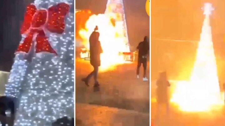 Se video: Migranter sprenger juletreet: – De skal straffeforfølges