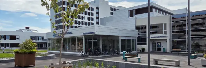 Helsesjef går av: – Det er en grense for hva som er mulig