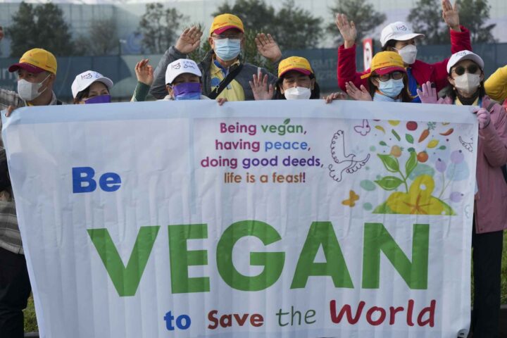 Ny storstudie slår alarm: Vegansk kosthold kan hemme barns vekst og gi alvorlig næringsmangel