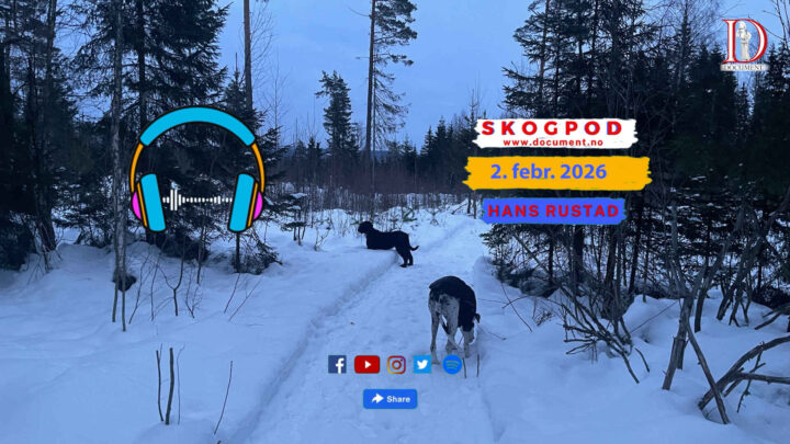 Skogpod 2. februar 2026