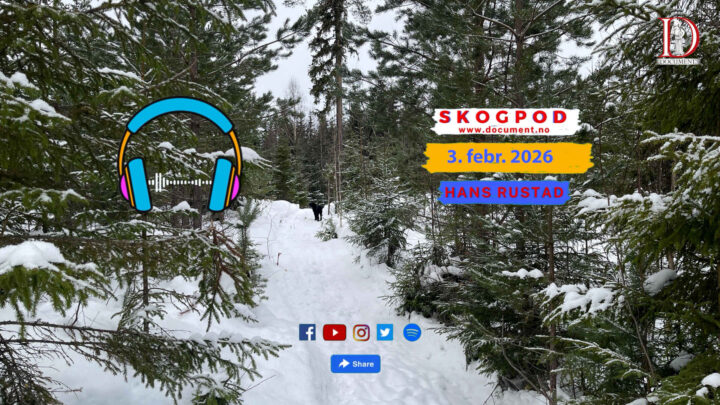 Skogpod 3. februar 2026