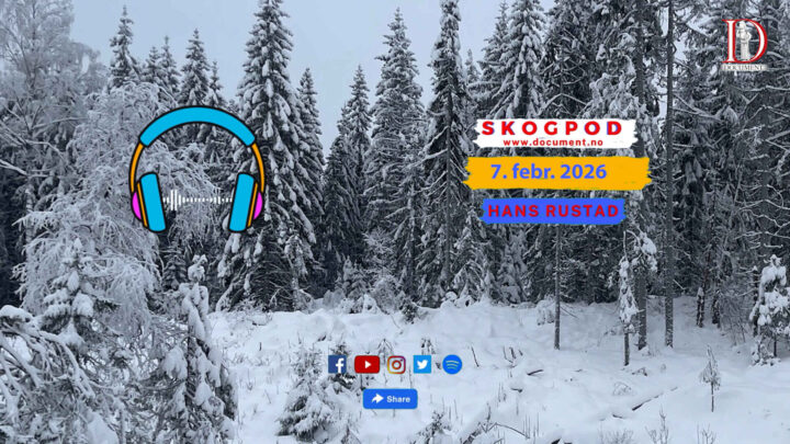 Skogpod 7. februar 2026