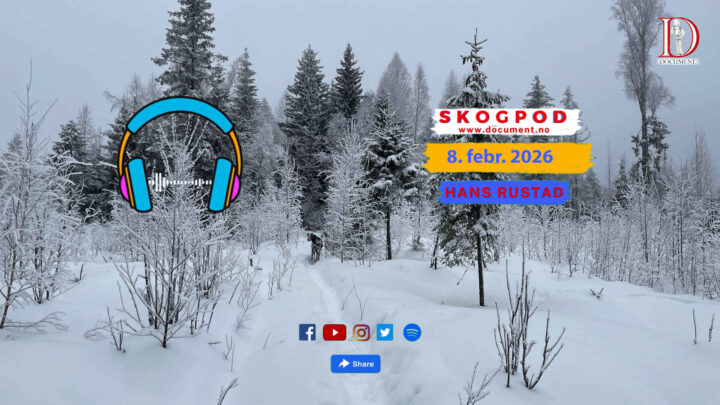 Skogpod 8. februar 2026