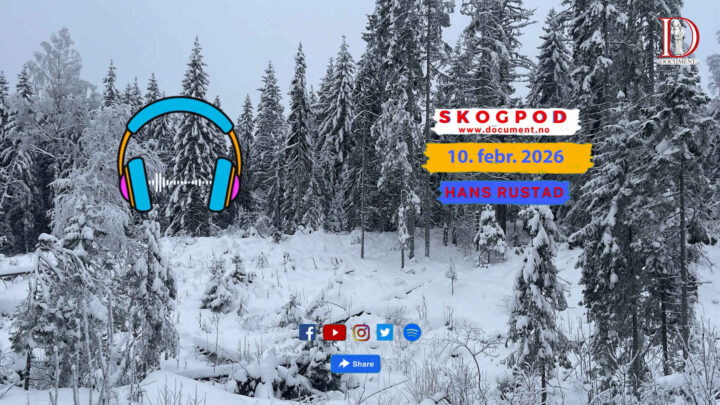 Skogpod 10. februar 2026