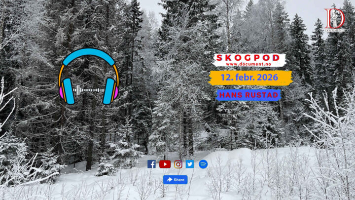 Skogpod 12. februar 2026