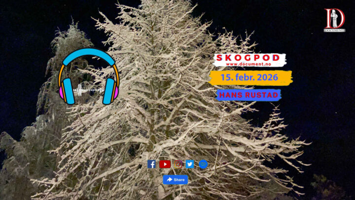 Skogpod 15. februar 2026