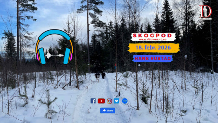 Skogpod 18. februar 2026