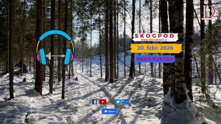 Skogpod 20. februar 2026