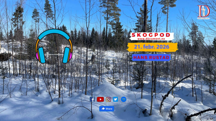Skogpod 21. februar 2026