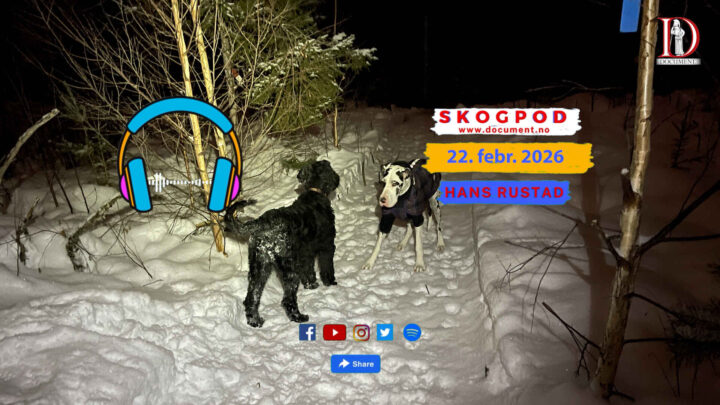 Skogpod 22. februar 2026