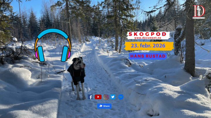 Skogpod 23. februar 2026