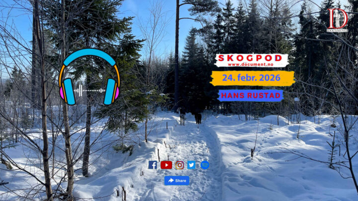 Skogpod 24. februar 2026