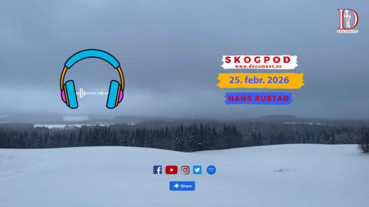 Skogpod 25. februar 2026