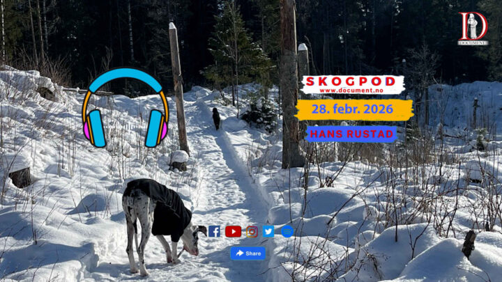 Skogpod 28. februar 2026