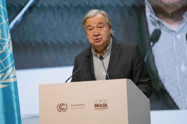 FN: Råtten inn til kjernen&nbsp;(+)