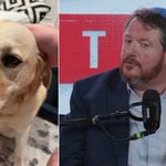 Sinte reaksjoner etter at politiker går ut mot islam: – Jeg velger hunder over muslimer