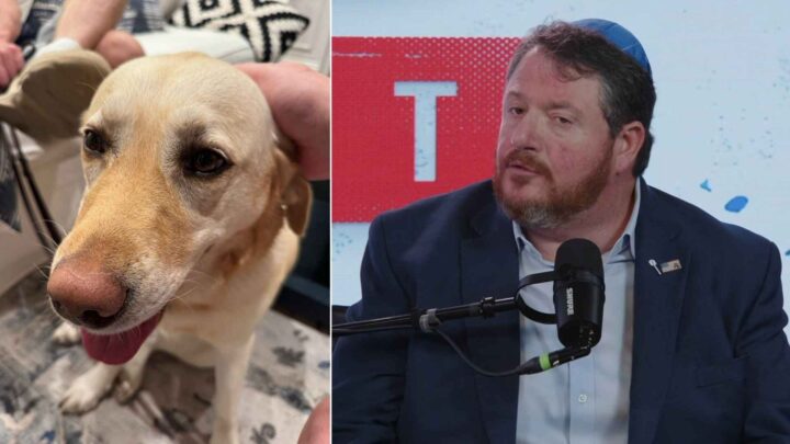 Sinte reaksjoner etter at politiker går ut mot islam: – Jeg velger hunder over muslimer