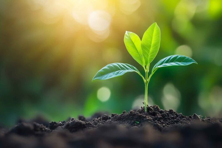 Helena Edlund: Tanker før søndagen #158