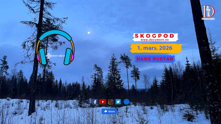 Skogpod 1. mars 2026