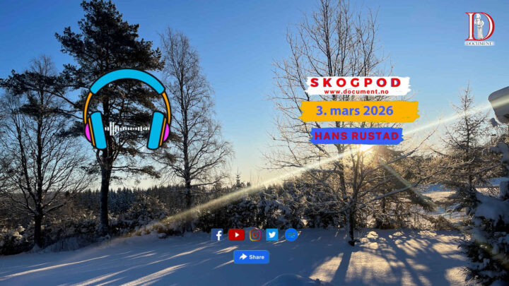 Skogpod 3. mars 2026