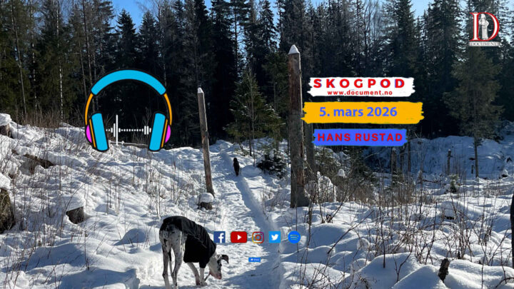 Skogpod 5. mars 2026