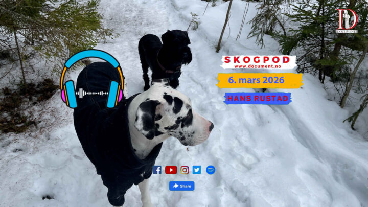 Skogpod 6. mars 2026