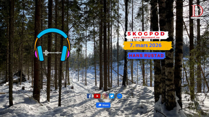 Skogpod 7. mars 2026