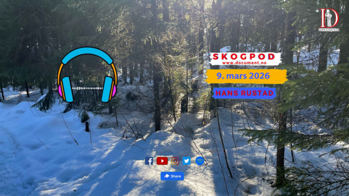 Skogpod 9. mars 2026