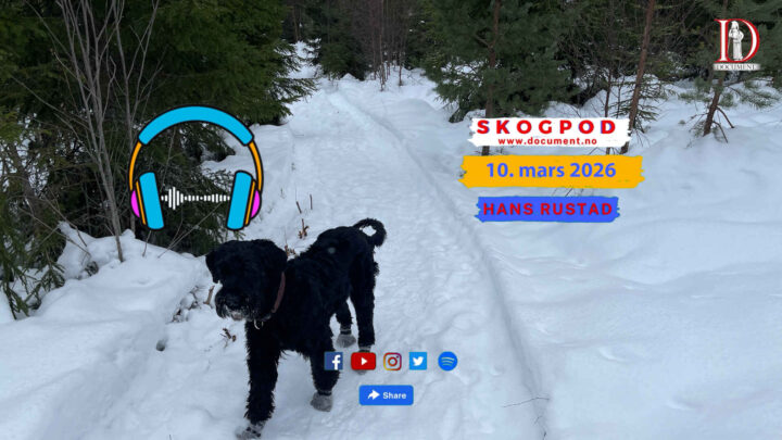Skogpod 10. mars 2026