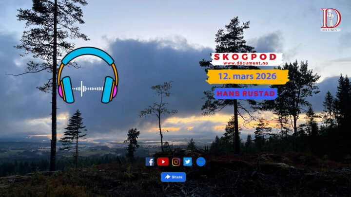 Skogpod 12. mars 2026