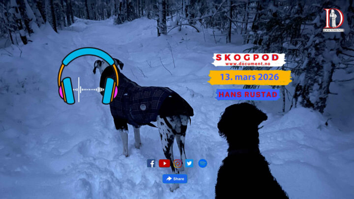 Skogpod 13. mars 2026