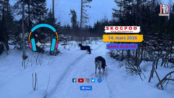 Skogpod 14. mars 2026