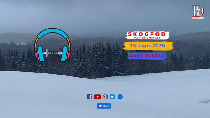 Skogpod 15. mars 2026