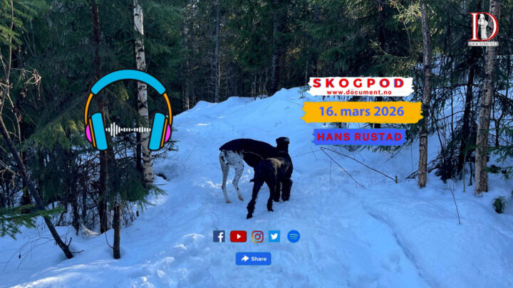 Skogpod 16. mars 2026