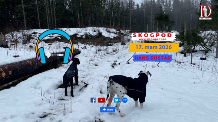 Skogpod 17. mars 2026