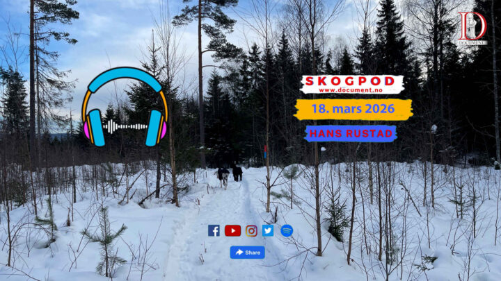 Skogpod 18. mars 2026