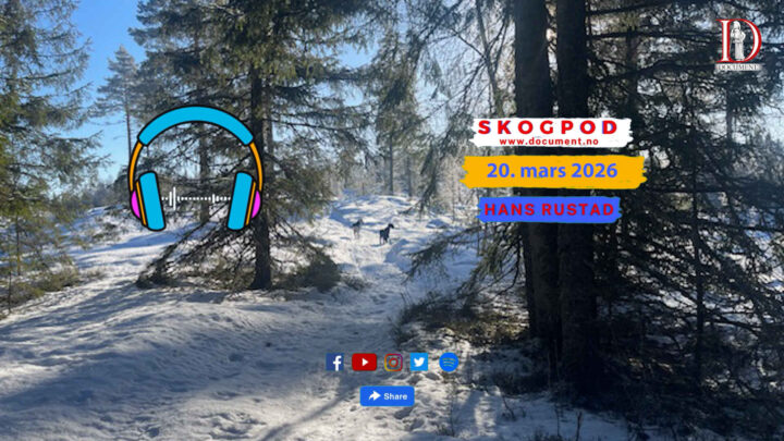 Skogpod 20. mars 2026