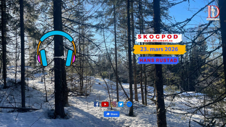 Skogpod 23. mars 2026