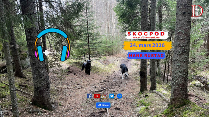 Skogpod 24. mars 2026
