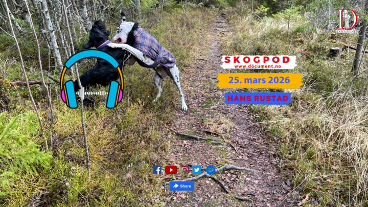 Skogpod 25. mars 2026