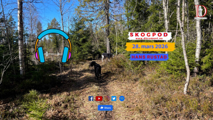 Skogpod 28. mars 2026