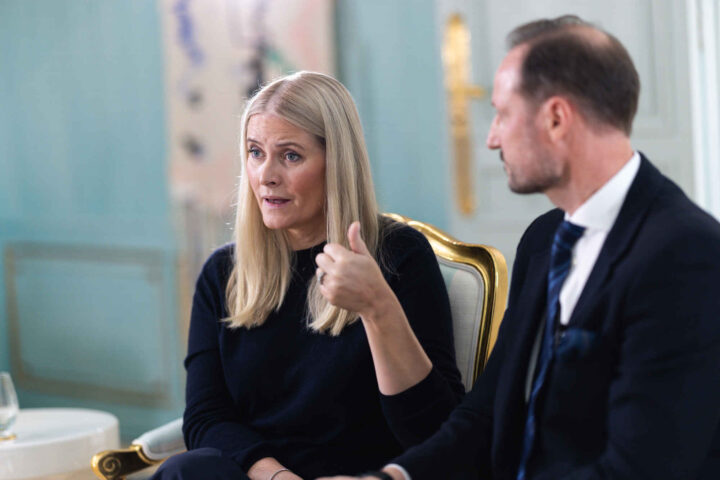 E-poster sår tvil om kronprinsessens forklaring i Epstein-saken