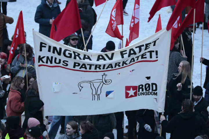 Rød Ungdom vil erstatte Hæren med en sosialistisk «folkemilits»