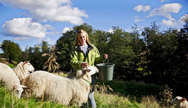 SSB beklager feil, likevel ingen «ungdomsboom» i landbruket