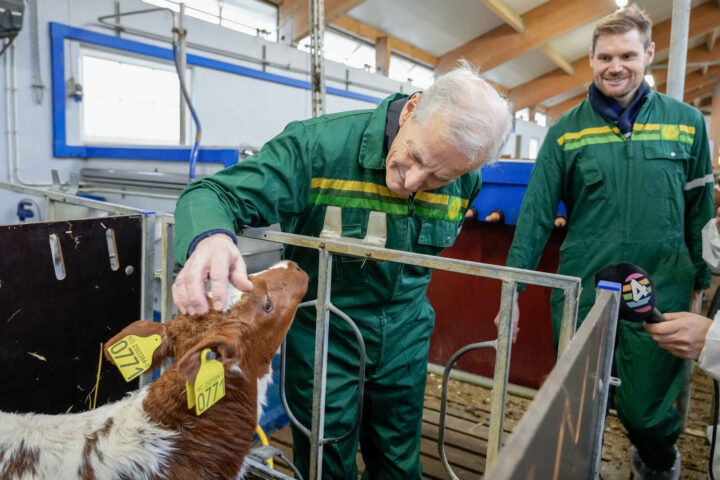 Krigen fungerer som en lynavleder